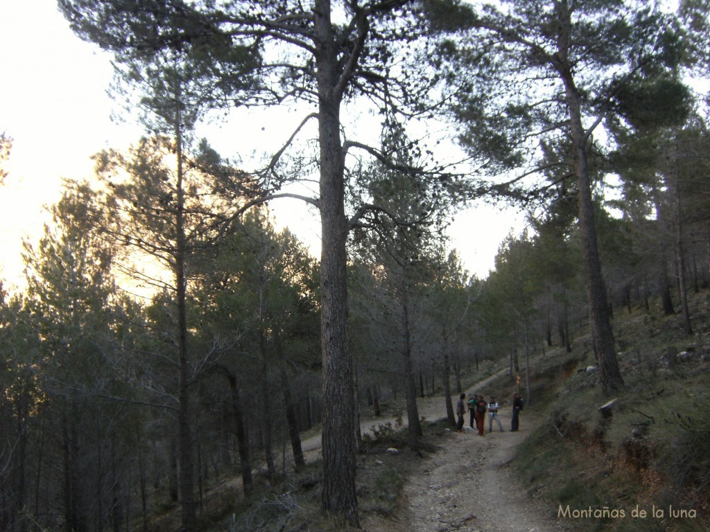 Cruce cerca del Coll del Pouet