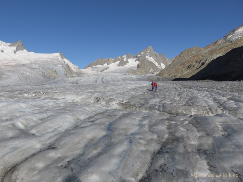 Marchando por el Glaciar Fiesch con el Grünhorn al fondo y en el centro izquierda el Grünhornlücke, a la derecha el espolón y promontorio rocoso donde se encuentra el Refugio Finsteraarhorn